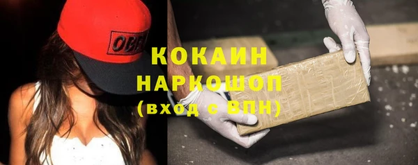 стаф Алзамай