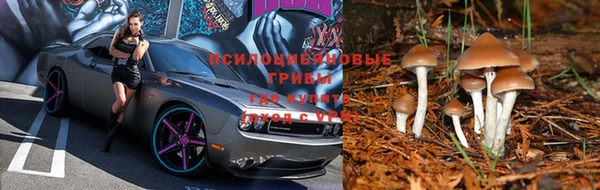герыч Алексин