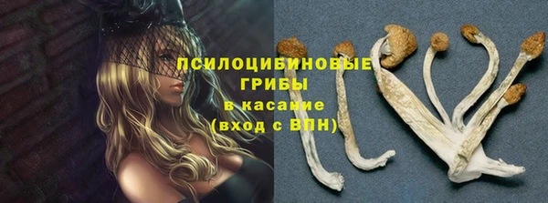 герыч Алексин